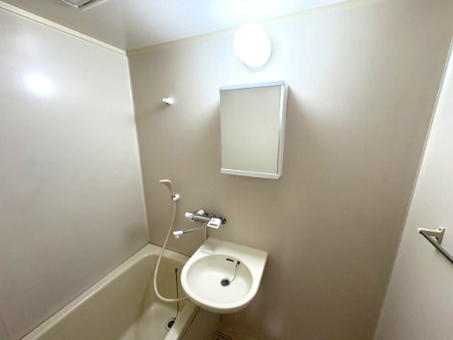 【ハイツアグラの洗面所】