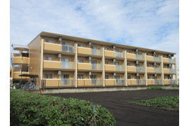 ａｒｃｏｂａｌｅｎｏの外観