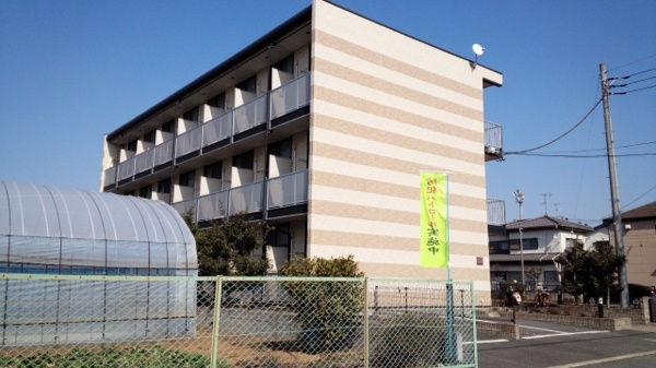 レオパレスオリザアウレアの画像