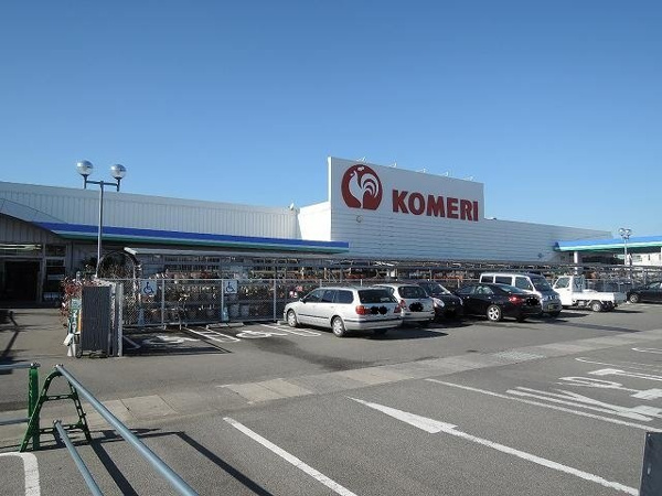 ハミングバードの周辺