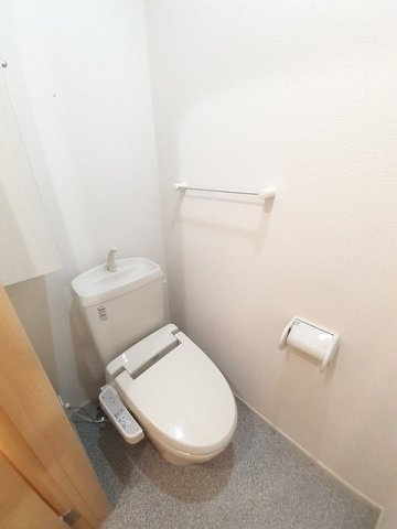 ハミングバードのその他