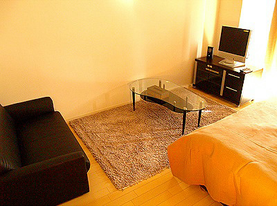 CityLifeクラウンハイム長堀通の居間