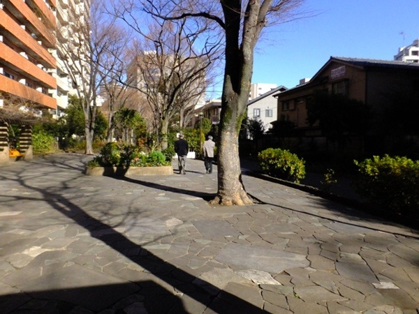 メドウ初台の周辺