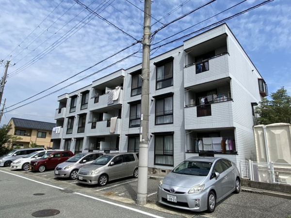 トリヴァンベールタナカの画像