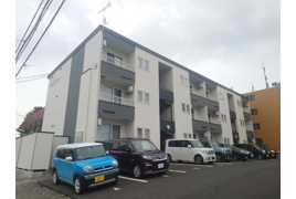 トレントの外観