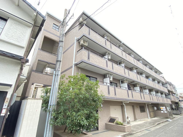 コージ・コート・クイセの画像