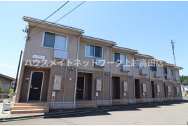 モンステラの外観