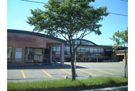 パレットの外観