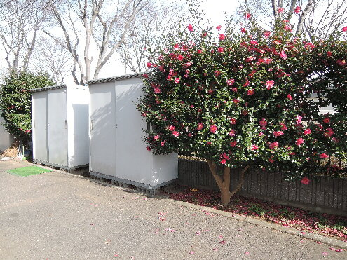 【ディアコート・セフィラのその他】