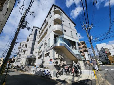 グランドールトキの画像