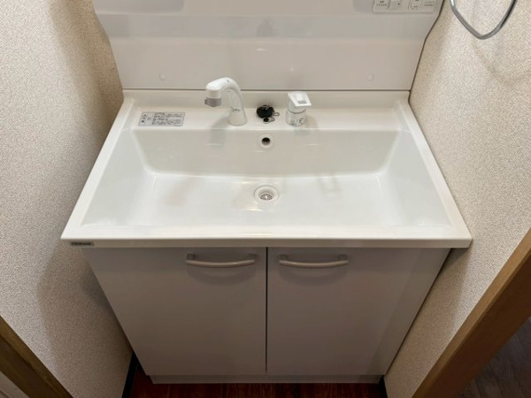 ダイヤメゾン戸田公園の洗面所