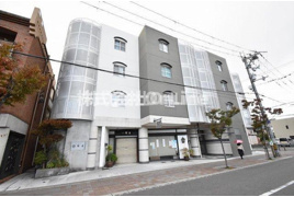 セネシオの外観