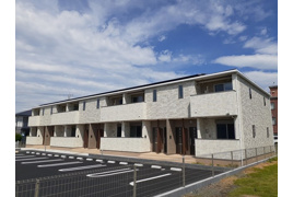 ジプソフィルの外観