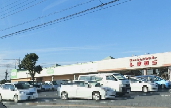 【ヴィラ･グレースの周辺】