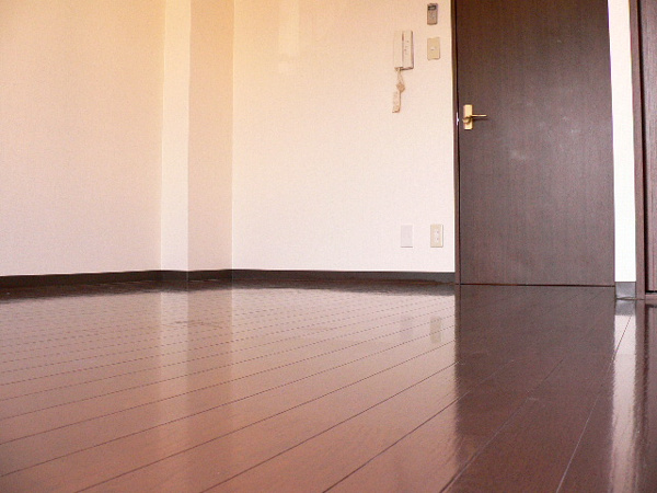 フェニックス東大阪Ⅱの洋室