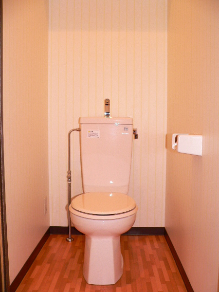 フェニックス東大阪Ⅱのトイレ