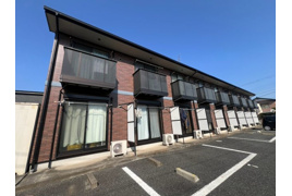 アムール翼の外観