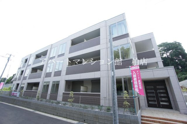 Serena Gardenの画像