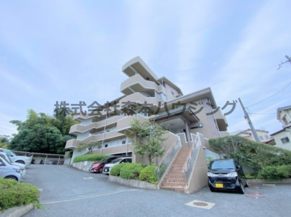 ビバリーフラッツの画像