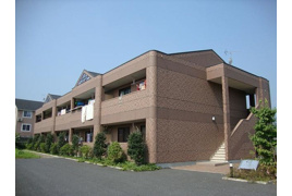 アプリコットの外観