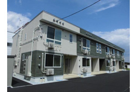 マスカット ベリー Bの外観