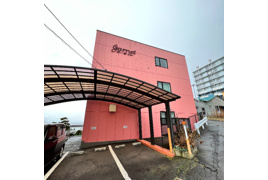 ガーネットの外観