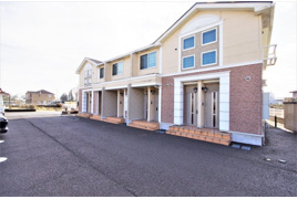 スイートアリッサムの外観