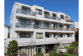 セレーナ元住吉の外観