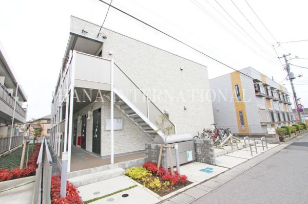 リブリY＆Sの画像