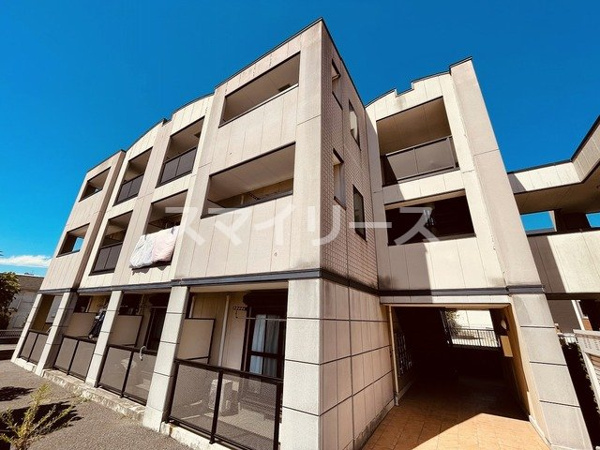 ラ・ボニータ野口の画像