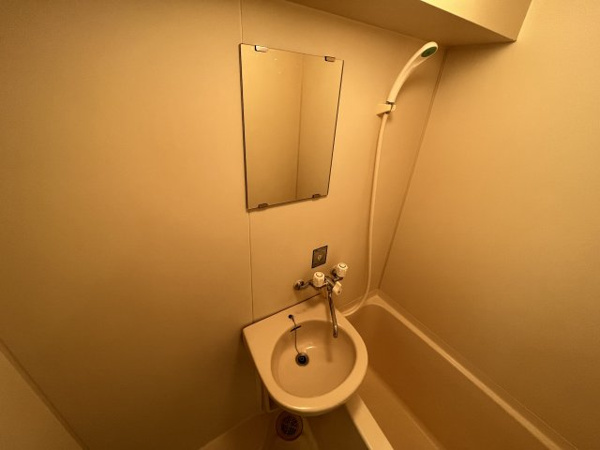 マサキハイムの洗面所