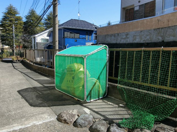 ロゼ・YANAGIMURAのその他