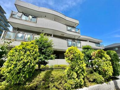 セレッソプラーサの画像