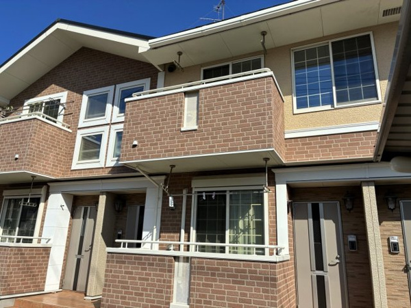 ミッツコンフォートの画像