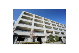 エコタワーバオバブの外観