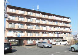 D．Mカルチャーの外観