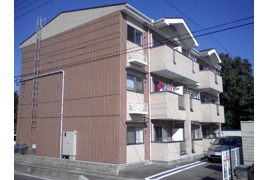 グレイスタキオンの外観