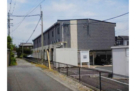 アナナスの外観