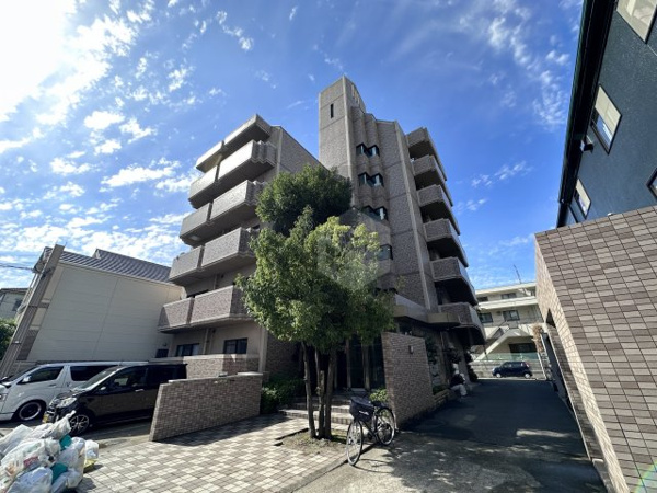 デルニエアンの画像