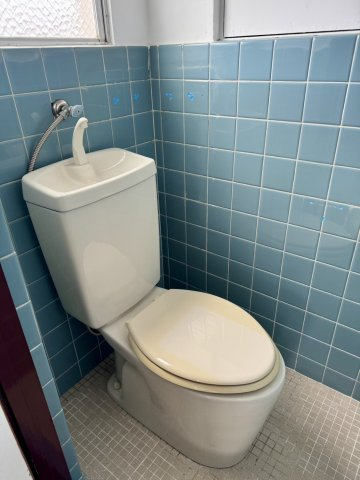 【ルピナスかつらぎB棟のトイレ】