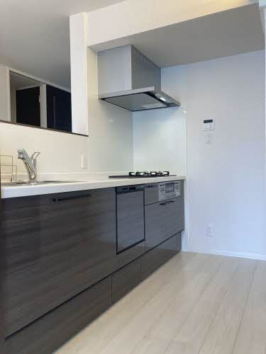 【フィーノのその他】