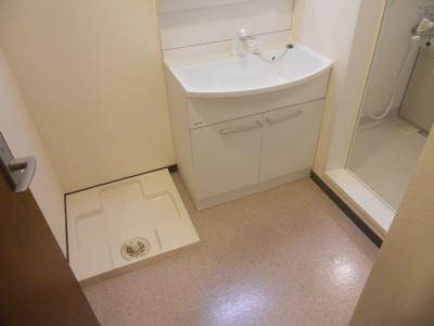 エターナルコート三条の洗面所