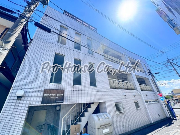 RENATUS HOYAの画像