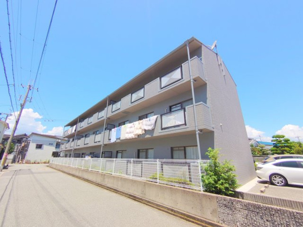 ドムール林の画像