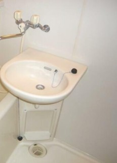 ベルビータ新高円寺の洗面所