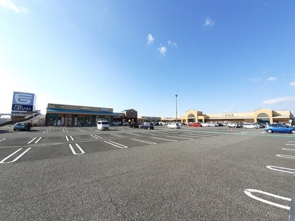 【アジュガ・Ⅱの周辺】