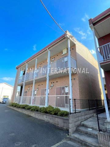 シティーFの画像