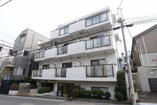 プルメリア中丸のイメージ