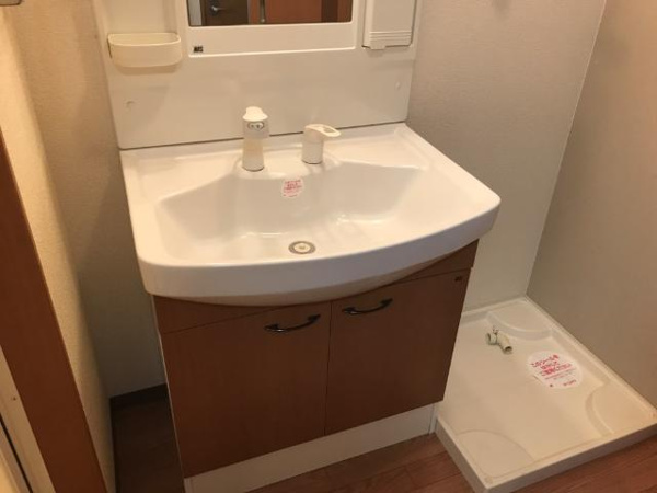 ハイツ南丸の内の洗面所