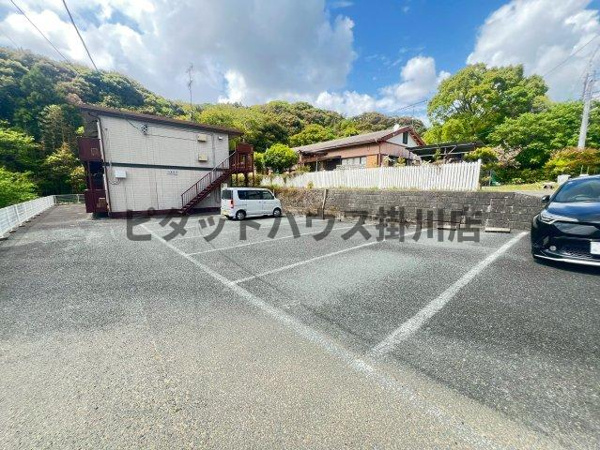 ひまわりの画像